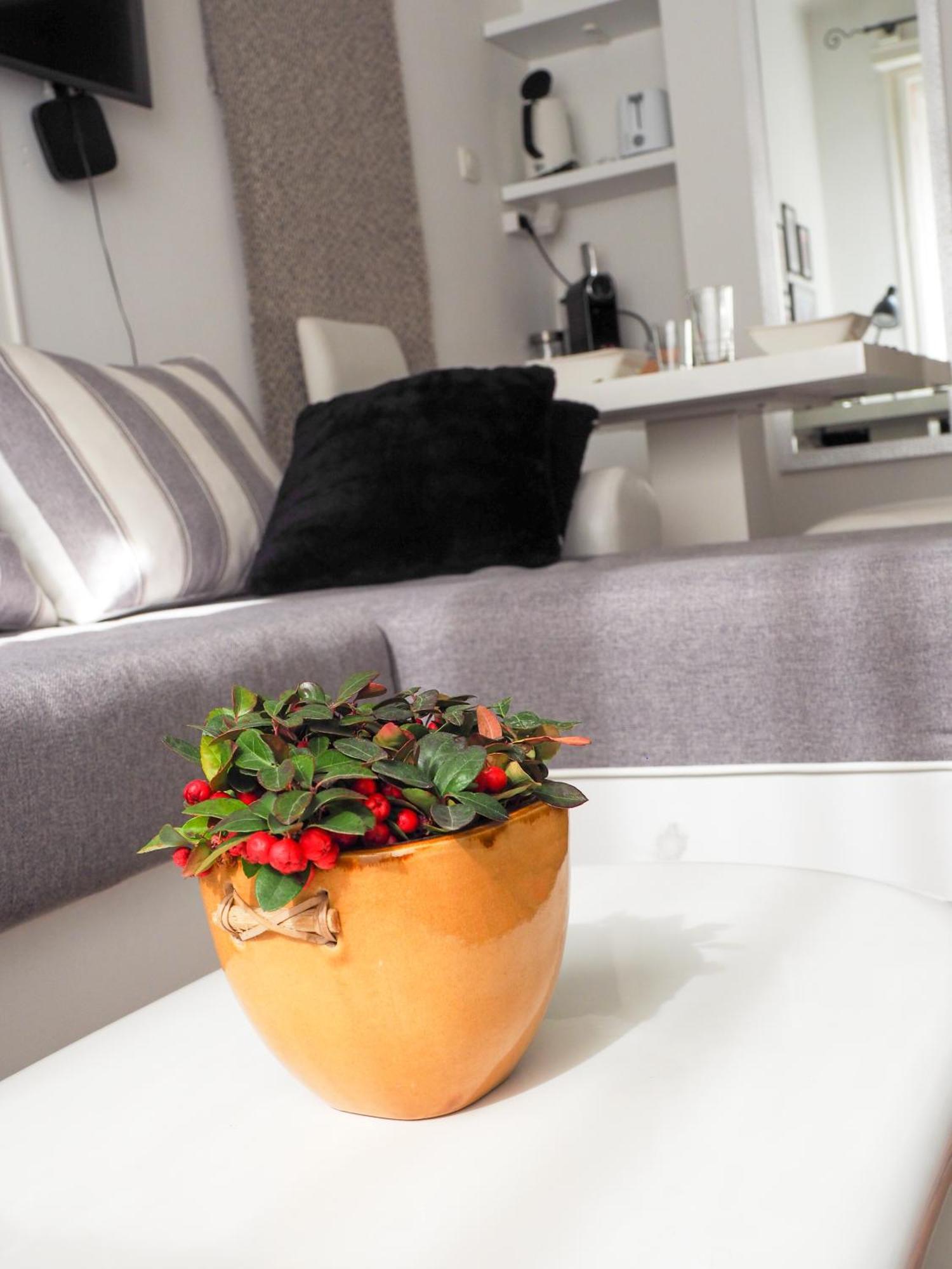 Appartement Buda